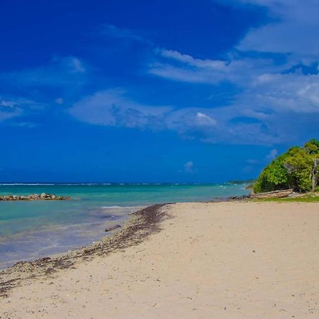 Apartamento Malibu Ocean View Studio Montego Bay Exterior foto